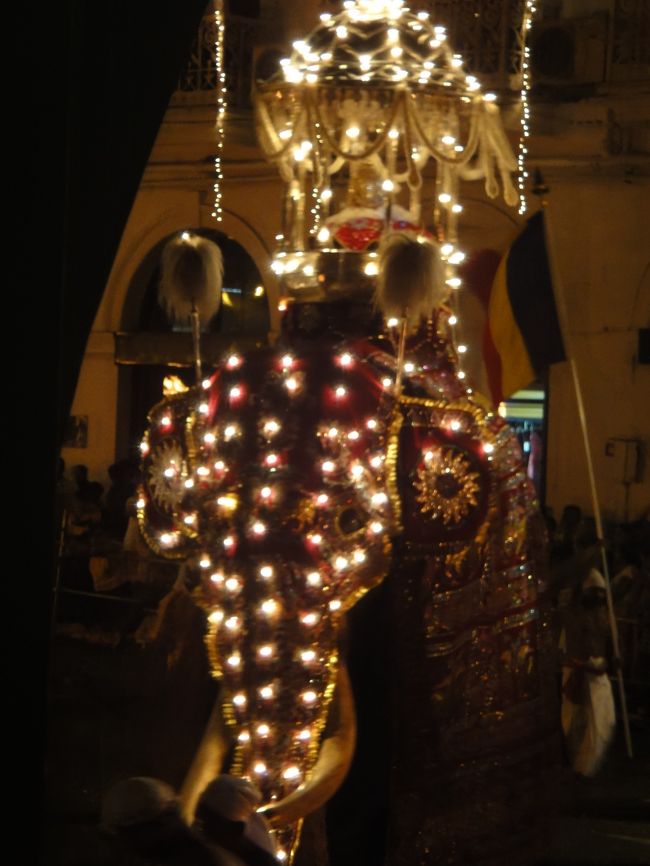 ペラヘラ祭とはスリランカの古都キャンディで毎年7月から8月頃の満月の夜に行われるスリランカ最大のイベント。ペラヘラとはシンハラ語でパレードのことを指す言葉。<br /><br />キャンディ・エサラ・ペラヘラでは美しく着飾った踊り手たちが長い列をなして、キャンディの街を練り歩きます。<br /><br /><br />ペラヘラははじめ、仏歯寺内にあるナータ神、ヴィシュヌ神、パッティニ神の3神殿とすぐ近くにあるカタラガマ神の神殿でご神木を立てたあと、神殿の周りを練り歩く小規模のペラヘラから始められます。<br /><br />その後週を追うごとにペラヘラの内容・規模ともに大きくなり、ニキニの満月の1週間前からパレードを練り歩く象は100頭近くにもなり、華やかなフィナーレを迎えます。<br /><br />とくにクライマックスとなる最後の夜（ランドーリ・ペラヘラ）には、約3,000人のダンサーや太鼓手が踊りながら、全身に豆電球のイルミネーションに飾られた約100頭の象とともに夜中まで市内をパレードします。<br /><br /><br />今回、運よく満月の1週間まえに訪問することが出来ました