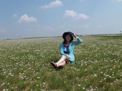 ３６０度果てしなきモンゴル大草原　お花満開！　ワイルド！だぜ！