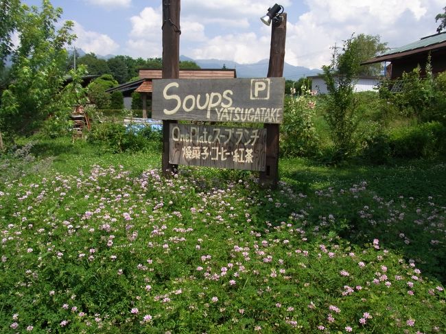 蓼科牧場へ向かう途中、ランチで立ち寄ったSOUPS YATSUGATAKE（スープス　八ヶ岳）。<br /><br />スープをメインにした自然あふれるカフェであります。<br /><br />古民家を改造したお店の周囲には野花が咲き乱れ、ゆったりとした時間が流れております。<br /><br />おかげで目的地である蓼科牧場への到着が、大幅に遅れてしまいました。