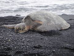 ハワイ島家族旅行 2