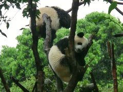 初めての中国は四川省、九塞溝・黄龍の旅＜６＞　成都市内観光　武侯祠とパンダ基地、川劇～帰国