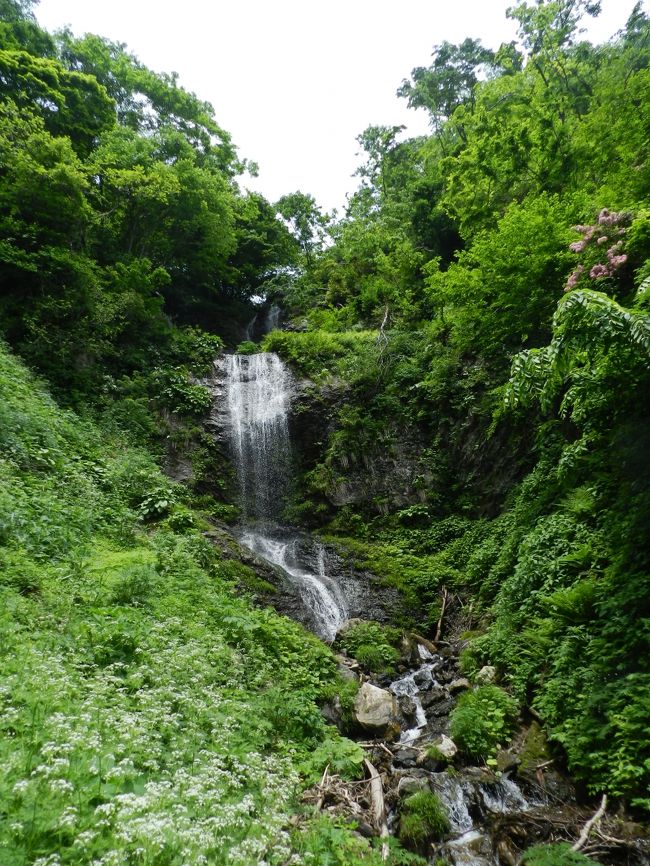 横山岳の『経の滝』旅行記（http://4travel.jp/traveler/joecool/album/10694512/）からの続きです。<br /><br />「経の滝」を後にして、滝めぐりのパーティー一行は最終目的地である『五銚子の滝』を目指しました。<br />ラストあと少しのところでバテバテだったJOECOOLでしたが、皆さんの励ましもあってたどり着くことができました！<br /><br />≪第二章≫は、「経の滝」〜「五銚子の滝」〜下山までの様子をご紹介します。<br /><br /><br />※同行していただいた方々の旅行記もご覧下さいね。花の写真もいっぱいありますよ〜！<br />rokoさんの旅行記→http://4travel.jp/traveler/roko8781/album/10676769/<br />GOTOCHANさんの旅行記→http://4travel.jp/traveler/gotochan/album/10676622/<br />koikeiさんの旅行記→http://4travel.jp/traveler/koikei/album/10680387/