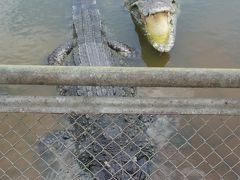 ホーチミンで公園巡り　(スイティエン公園)　　そして街角のランドリー