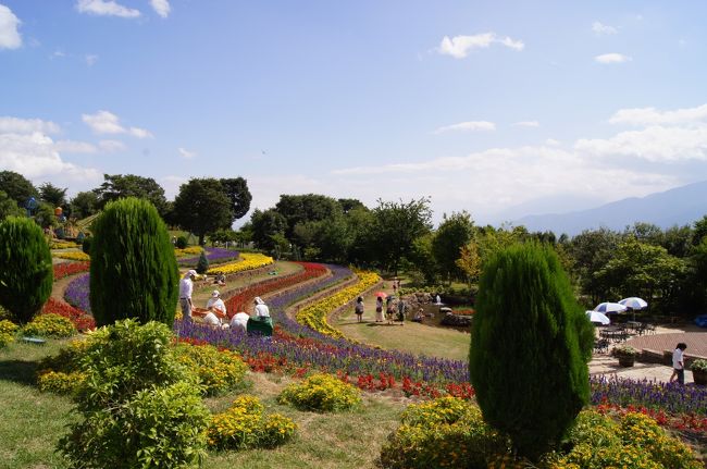 我が家は緊縮財政中なので、夏の遠出は極力控える予定でした。でも！でも！でも！どうしても出かけたくなるのが夏休みというもの。そこで、電車で新宿から2時間で行ける山梨県方面へ出かけることに。<br />明野のサンフラワーフェスティバルを中心に、フェスティバル会場隣の明野摘み取り園にて、ブルーベリー狩をしてみようということに。チェブちゃん（我が家の娘の愛称。今回は度々「ハイジ」と呼ばれることに。）は生のブルーベリーが大好物なので、この企画は大ヒット！子連れのお楽しみスポットも見つけることができ、よく遊んだ2日間。大人はグッタリです。。。<br /><br />《1日目》<br />9：00　 新宿駅発（あずさ9号）→　10：48　韮崎駅着<br /><br />11：30　「明野つみとり園」にタクシーで到着<br />　　　　ブルーベリー摘み体験（持ち帰りパック付き40分間）を開始<br /><br />12：40頃　ひまわり畑は、我が子にチラ見で強制終了させられる<br /><br />13：00頃　「ハイジの村」へ<br />　<br />16：19　　「茅ヶ岳・みずがき田園バス」にて韮崎駅に向けて出発<br /><br />17：01　　韮崎駅発（ＪＲ中央本線（普通））→　17：28　小淵沢駅着<br /><br />ネオオリエンタルリゾート八ヶ岳高原コテージ「花ホテル」に宿泊<br /><br />《2日目》<br />10：15頃　ホテルをチェックアウト<br /><br />10：25　　八ヶ岳リゾートバスにて「牧場通り北」で下車、付近を散策<br /><br />11：15頃　ウェスタン・ランチへ<br /><br />14：36　　小淵沢駅発（あずさ20号）→　16：36　ＪＲ新宿駅着<br /><br />○ホテル「ネオオリエンタルリゾート八ヶ岳高原」はYahoo!トラベルを通して「たびゲーター」で予約しました。「【スペシャルプラン】☆お手頃価格プラン☆花ホテル・コテージ／露天風呂付（朝夕食付）」29,000円（1泊2日・大人2人料金）を利用。<br /><br />☆明野摘み取り園HP: http://www4.ocn.ne.jp/~bbakeno/<br />☆ハイジの村HP： http://www.haiji-no-mura.com/index.html<br />☆ネオオリエンタルリゾート八ヶ岳高原HP： http://yatsugatake.izumigo.co.jp/<br />☆八ヶ岳ウェスタンランチHP: http://www.ywr.jp/index2.html<br /><br />