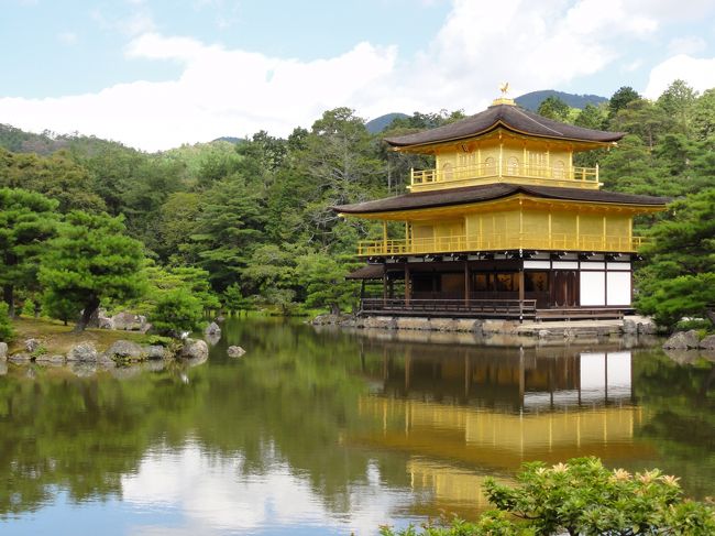 京都を代表する　「金閣寺」　に行ってきました。<br /><br />春秋冬と違った風景が見れるのですが、今回は夏の金閣寺です。<br /><br />京都の市バスは路線数も多く、５００円で一日乗り放題のパスがあるため観光しやすいです。<br /><br />金閣寺周辺には、世界遺産の龍安寺、仁和寺があり続いて観光してきました。<br /><br />