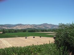 ナパとソノマのワイナリー巡り③　（ナパ・セントヘレナ周辺）