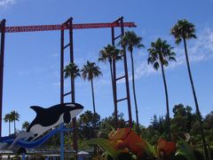 ナパとソノマのワイナリー巡り⑤　（ナパ周辺）　＆　ディスカバリー・キングダム（遊園地）