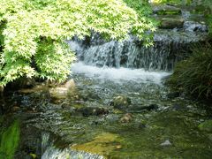 20120510 京都 中央卸売市場 → 梅小路公園 → 新福菜館