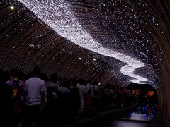 夏の風物詩　京の七夕へ