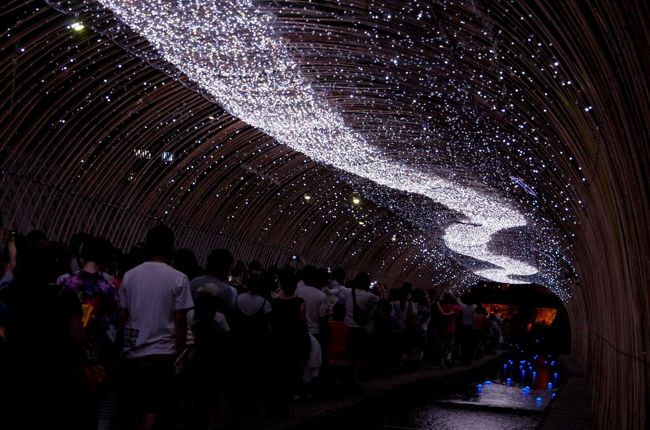 今年も「京の七夕」が開催されました。<br />鴨川会場と堀川会場がありますが、夕涼みがてら堀川会場へ<br /><br />二条城も一部無料開放され、光のペイジェントDK−LIVEなどが行われていますが<br />昨年も遊歩道を歩くだけで時間がいっぱいいっぱいでしたので、そちらはスルー致しました。<br /><br />写真だけですがよろしければご覧くださいませm(__)m