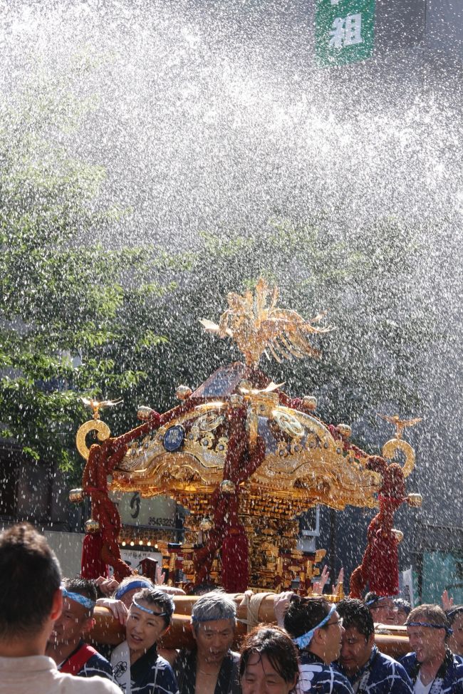 真夏に行われる深川・富岡八幡宮の例祭「深川八幡祭り」の見どころ「神輿連合渡御」を見に出掛けました。<br />お祭りは、神輿に水を掛けることから「水掛け祭り」として知られます。<br /><br />昨年は、３年に１度の本祭でしたが、東日本大震災ののため中止となったため、今年は特に被災地の早期復興を祈願して盛大な祭りとなりました。<br />各町内の５４基の神輿に特別参加の平泉の神輿が加わり、５５基が約８Kmを練り歩きました。<br /><br />また、天皇皇后両陛下が、富岡八幡宮で行われた空襲体験者との懇談を終えた後、神輿連合渡御をお楽しみになっていらっしゃいました。<br />公務にお忙しい両陛下、暑い中、ずっと手を振っていらっしゃいましたが、お疲れが出ないと良いのですが。<br /><br />