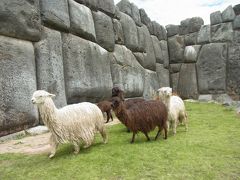 ペルー旅行記③　インカ帝国の天空の都・クスコ♪美しい石組みに感動～（≧▽≦）ﾉｼ