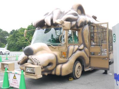 長男がサッカーを始めてから、週末の旅行がなかなか組めなくなってしまったのですが、学校公開日だった日曜午後から振替休日を利用して、一泊二日の旅行を計画。急遽実母を誘って、エクシブ山中湖での宿泊&サファリパークを楽しむことになりました。