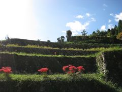 2009　岩座神の棚田でおしゃれな案山子に睨まれる