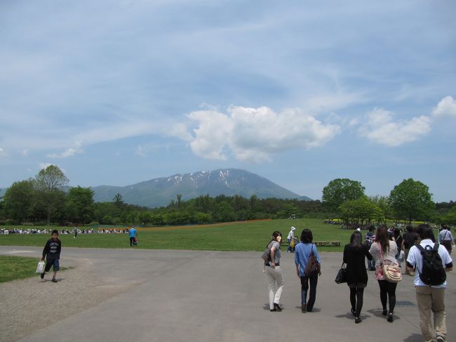 今年度の社員旅行はメインが岩手で、食べたことがないわんこそばコースを選んでみました。<br />何杯食べられるのか想像つきません。