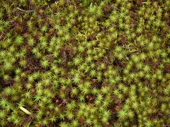 福井・石川・岐阜の旅　その２石川県