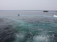 [2012年04月] 能登島、GWはのとじま水族館と和倉温泉で温泉玉子