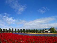 「北の国から」富良野・美瑛ドライブ