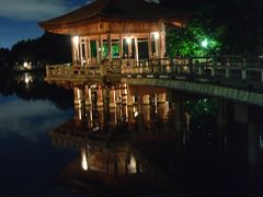 みにくまさんがやってきた・・・高円山の大文字送り火と東大寺万燈供養、撮影会　in Nara