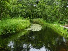 敦賀の湿原巡り　　池河内湿原と中池見湿地