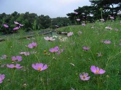 晩夏の那須高原