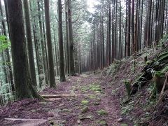 真夏の熊野古道