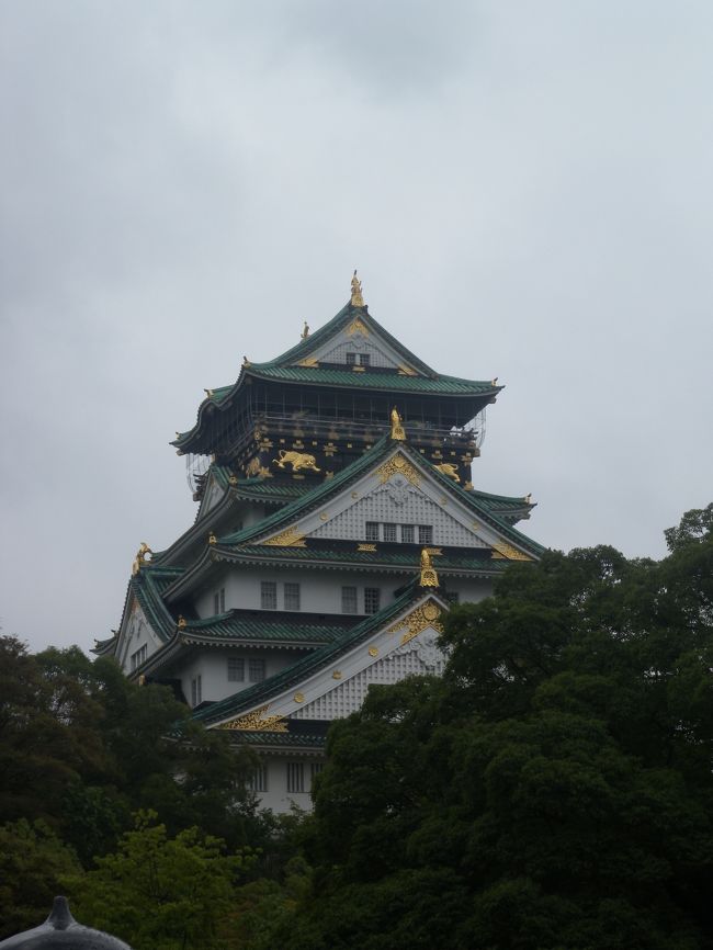 今年もこの日がやってきました、８月１４日。終戦の前日、大阪大空襲の日です。戦争が終わる日を目前にして多くの方が犠牲となったこの日、京橋駅では慰霊祭が毎年行われています。関係者の高齢化が言われる中、次世代に伝えていく役割の一端を担おうと昨年から参加しています。<br /><br />慰霊祭の後、昨年同様、大阪城や真田山陸軍墓地を巡り、空襲や戦争の被害の大きさ、悲惨さを感じ、平和について考え、学ぶ一日でした。昨年の晴天猛暑と異なり、今年は曇天、時々雨、適度な暑さでしたので、多少余裕をもって歩き回れました。