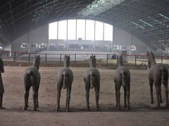 ☆ユータロー王子、中国へ行く②【始皇帝の絶大な権力に度肝を抜かれる兵馬俑】☆