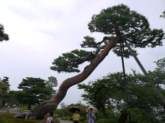 兼六園内を散策♪