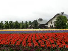 北海道一人旅♪２０１２～ファーム富田編～