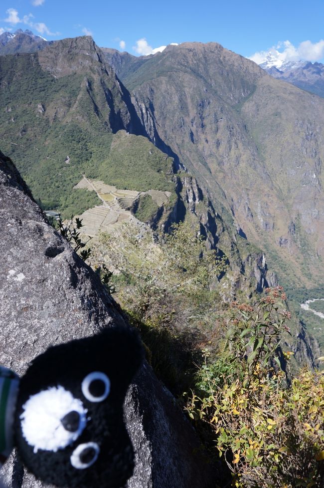 今日は、ワイナピチュ登山の日。<br /><br />私は登山が大嫌いだ！マラソンも大嫌いだ！要は持久力がないただのヘタレ(*^^*)　<br /><br />そんな私が、どうしてワイナピチュ登山をしようと決めたのか？<br /><br />私が探していた日本から添乗員が付くツアーでは、ワイナピチュ登山は組まれていなかった。しかし、申し込んだこのツアーには、ワイナピチュの登山が最初から組まれていた。<br /><br />しかも、予約制になっている（面倒っぽい）入場券の手配もしてくれるという。これは行かねば！とただの貧乏根性？（笑）<br /><br />それに、限られた人しか入場出来ない貴重な経験だし、必ず良い思い出になると確信したから、頑張ってみようと思った。<br /><br />そうなれば、必要な物も出てくる。しかも、今回の旅はロングフライト、イグアスの滝でのボートツアーと色々対策が要求されたし・・・。<br />というわけで、みなさんの旅行記やクチコミで得た情報を元に特別に持参した物はコチラ↓<br /><br /><br />・飴（いつもより多めに。長時間のフライトの喉の保護・高山病対策・いつものように乗り物酔い防止）<br />・マッサージグッズ（私の愛用品は無印のほぐしテトラ525円。もちろん機内持ち込みに）<br />・レインコート（マチュピチュ＆イグアス用に）<br />・トイレ袋（いつも持参するけど）<br />・ポカリの粉（現地にゲータレードがあったが甘くて日本人には適さないとの情報より）<br />・頭痛薬（いつも持って行くけど）<br />・虫除け（缶スプレータイプはダメかもと思い、ウェットティッシュタイプを購入）<br />・虫刺されの薬（夏場だけお化粧ポーチに入れてるのでそのまま持参）<br />・部屋の防虫（という情報を得たけど実際は持参せず）<br />・ジップロック（水濡れ防止にもなるのでいつもより多めに）<br />・イボ付き手袋（ワイナピチュ登山用に100円ショップで購入）<br />・ロスバゲ対策に２泊分の着替え＆洗面用具たち（初の試み。実は今まで一度もロスバゲたことはない！でも今回は乗継多し＆45分！があったので念のため。ちなみにパンツは100円ショップの携帯下着ってやつ）<br />・米ドル<br />・食べる＆飲む酸素（という情報を得たけど実際は持参せず）<br />・即席味噌汁（腸が動かないので食欲不振の時に飲むと助かるというクチコミより）<br />・カイロ（標高が高いから寒い＆三ツ星ホテルで暖房壊れてるのが当たり前だから。という情報より）<br />・整腸剤（高山病の症状で下痢になったら下痢止めではなく、整腸剤がいいらしい）<br />・日焼け止め<br />・日よけ手袋（防寒対策にもなった）<br />・ハンドクリーム（乾燥していると。これは現地のツアー会社からの情報）<br />・スペイン語の旅会話（買いましたからね！）<br />・パスポートに一枚メモ（マチュピチュ遺跡入口で記念のスタンプが押せるとのこと。みんなフツーにパスポートに押してるらしいけど、それって大丈夫なのか？と疑問に思い心配性の私はメモに押すことにした）<br />・水中カメラ（イグアスのボートツアー用に。使い捨てカメラのウォータプルーフのやつ）<br /><br />番外編<br />・シャンプーたちをジップロックに入れたという人のクチコミを見て私もやってみることに。洗面用具関係の物は全部ひとつずつ入れた。<br />・イグアスのボートツアーの日は、お財布たち全部↑のジップロックに入れてからバッグの中へ。<br /><br /><br /><br />□７月２８日（土）【行くだけの日】<br />１８：２０　成田発――→11時間45分の空の旅――→１６：０５　ダラス着<br />（3時間20分待ち）<br />１９：２５　ダラス発――→2時間45分の空の旅――→２３：１０　マイアミ着<br />（0時間45分待ち）って言うかダッシュの旅<br />２３：５５　マイアミ発――→5時間30分の空の旅――→０４：２５　リマ着<br />（3時間30分待ち）飛行機、これで終わらないのだ！<br /><br />□７月２９日（日）【行くだけの日の続き＆クスコ観光の日】<br />０７：５５　リマ発――→1時間20分の空の旅――→０９：１５クスコ着<br />クスコ観光<br />オリャンタイタンボへ<br />（泊）オリャンタイタンボ<br /><br />□７月３０日（月）【マチュピチュ観光の日】<br />ビスタドームにてマチュピチュへ、到着後ガイドさんとマチュピチュ遺跡観光、昼食後自分達で再度マチュピチュ遺跡へ<br />（泊）マチュピチュ村<br /><br />■７月３１日（火）【ワイナピチュ登山の日】<br />自分達でワイナピチュ登山、下山後マチュピチュ遺跡内をブラブラ<br />（往復バス・マチュピチュ入場券・ワイナピチュ券込み）<br />ビスタドームでクスコへ<br />（泊）クスコ<br /><br />□８月１日（水）【ペルーからブラジルへ移動だけの日】<br />０８：５０　クスコ発――→1時間25分の空の旅――→１０：１５　リマ着<br />（3時間15分待ち）<br />１３：３０　リマ発――→3時間55分の空の旅――→１９：２５　イグアス着<br />（泊）イグアス<br /><br />□８月２日（木）【イグアスの滝アルゼンチン側観光の日】<br />アルゼンチンに入国して、アルゼンチン側のイグアスを観光、ボートツアー後、OPでヘリコプター遊覧<br />（泊）イグアス<br /><br />□８月３日（金）【イグアスの滝ブラジル側見て帰国の途への日】<br />ブラジル側のイグアスの滝を観光して、空港へ。<br />１３：００　イグアス発―→1時間45分の空の旅―→１４：４５　サンパウロ着<br />（7時間00分待ち）<br /><br />□８月４日（土）<br />２１：４５　サンパウロ発―→10時間20分の空の旅―→０６：０５　ダラス着<br />（4時間30分待ち）<br /><br />□８月５日（日）<br />１０：３５　ダラス発――→12時間55分の空の旅――→１３：３０　成田着<br />