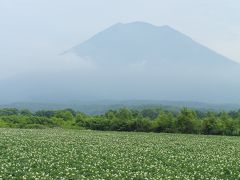 しっぽさんの“しっぽ”はkuritchi？！　『もれなくkuritchiが付いて来る？！』　奈良コミュ北海道進出オフ会♪　【４日目】　小樽の“足ながおじさま”とDrive♪　前編・小樽～京極～ニセコ～神仙沼～編