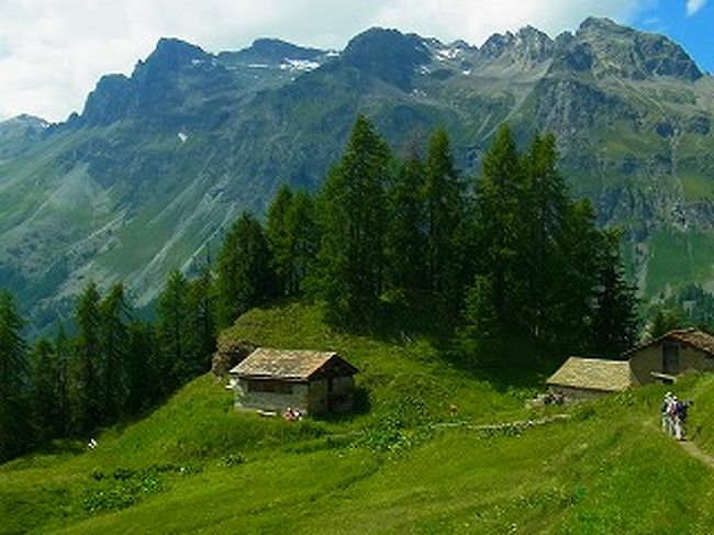 スイス　ベルニナ山群の探訪の旅「魅力あふれるエンガディン地方」高く<br />そびえる名峰、雄大に流れる氷河、青く澄み切った宝石のように輝く山上湖、<br />花々が咲くアルプスの草原を６人の仲間と６日間にわたって歩いた。<br />大自然の美しい風景にハイジの世界を「サンモリッツの風を感じて」歩いた。 　　<br /><br />フェルチュラストレッキング