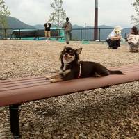 八ヶ岳わんわんパラダイスへのドライブ一泊旅