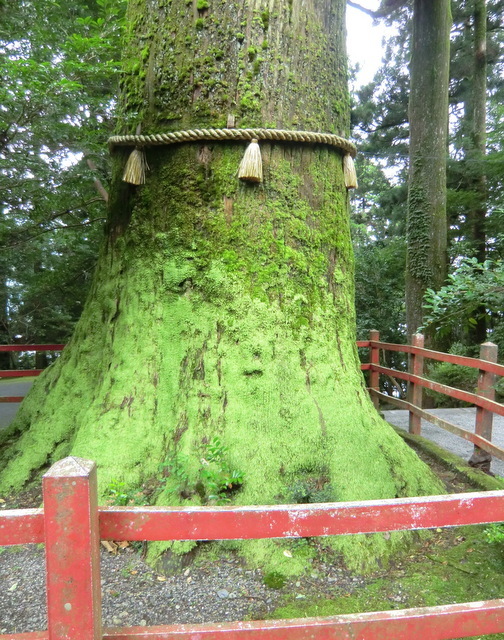 涼を求めて箱根・伊豆の旅♪　Vol.1箱根権現さんとザ・プリンス箱根「なだ万雅殿」