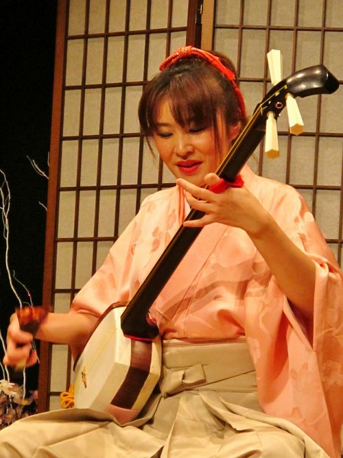 はいみさん限定）三味線 （じゃぽマガジン編集部 | じゃぽ