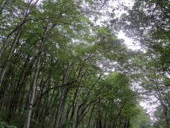 この夏は山陰エリアを駆け巡る！③～3日目後半は山エリアをドライブ♪蒜山から大山へ～