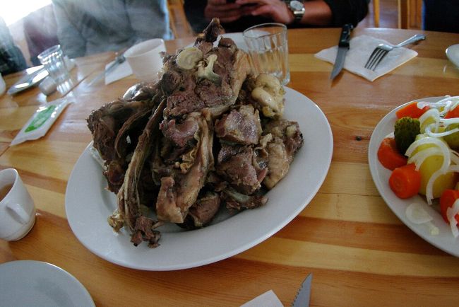 　ウランバートルへ研究留学中の先輩”Ｓ教授”を訪ねて，お盆休みを利用したモンゴル旅行を企画しました。<br />　モンゴルは初めての訪問です。「地球の歩き方モンゴル」は買ったものの，ネット上でもモンゴルの情報が少ない上に，今回はＳ教授の現地友人が旅行社を経営していることから独自のツアーを企画して頂き”ガイドブックに出ていない場所を巡る旅”となったため，更に”事前研究が困難な旅”となりました。<br />　私たち以外にも，Ｓ教授とその教え子ら６名，息子ら３名も同行する総勢１２名に，現地ガイドで日本語達者なエリカさん，エギさん，ヨネちゃん，そして日本語不可のドライバーさんという大所帯ながら，和気藹々の旅行団となりました。それにしてもモンゴル人は”よく食べる！”<br /><br />★☆　日　程　☆★<br />８／１１　福岡発NH6959便仁川経由KE867便ウランバートル着<br />　　　　　初めてのモンゴル<br />　　　　　ウランバートル市内「フラワーホテル」泊<br />８／１２　ワゴン車2台に分乗し『ブルド近郊のゲルキャンプ』へ移動<br />　　　　　人生初の乗駱駝・馬乳酒・ゲル宿泊を体験<br />　　　　　ゲル泊<br />【ここまで前編】<br />【ここから後編】<br />８／１３　ハラホリンを経て『ウギー湖湖畔のゲルキャンプ』へ移動<br />　　　　　人生初の乗馬を体験・流星群観測会<br />　　　　　ゲル泊<br />８／１４　旅行団を離脱してウランバートルへ戻り市内観光<br />　　　　　モンゴル伝統音楽の夕べ鑑賞<br />　　　　　ウランバートル発KE868便で仁川へ<br />８／１５　ソウル市内立ち寄り<br />　　　　　仁川発NH6898便福岡へ<br /><br />＊＊企画＊＊<br />トレジャーロード有限会社（ウランバートル市バヤンゴル区）