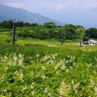 今年も白馬へ【１】～白馬五竜・アルプス平自然遊歩道～