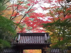 紅葉の湖東三山と永源寺