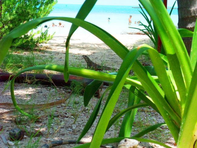 カリブの無人島でシエスタ！Isla Contoy(イスラ・コントイ)で保育士体験　父・母・娘のメキシコ紀行7日目