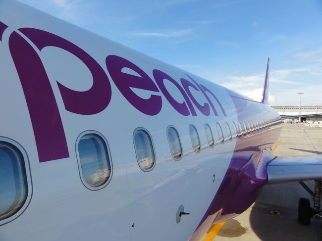 Peachで関空発 日帰りソウルが9920円ってのを見て<br />愛犬を預けなくてソウルに行ける!ってことでポチッとしようとしたら<br />電話での申し込みのみってことで電話しました<br />ナビダイヤル・・・<br />手荷物 座席予約等は別料金 <br />行きは手ぶらやけど、帰路は、化粧品がある<br />送るか、もって帰るか悩んだけど<br />帰りだけ預けるようにして、なんやかんや<br />ふたりで35000円ほどカード決済になりました