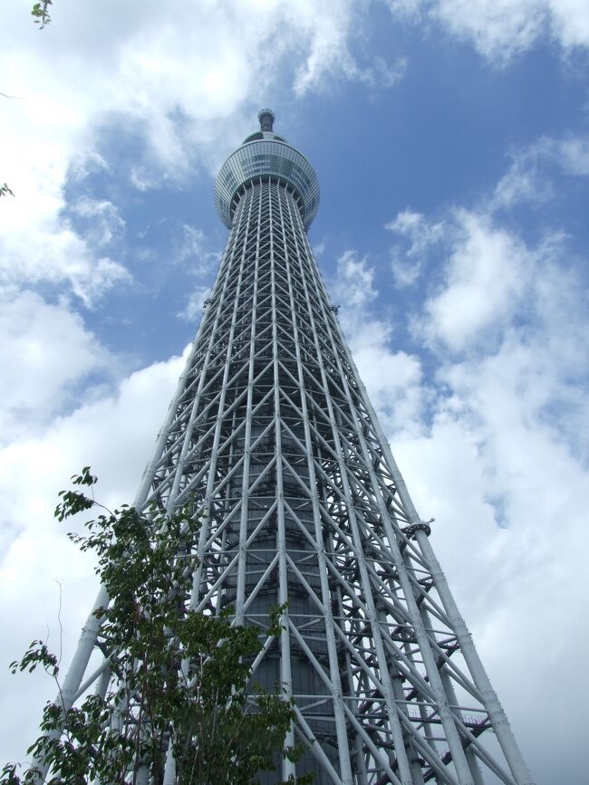 むかしからあるホテルに泊まる旅 近場であるけれども帝国ホテルに泊まってスカイツリーに昇った。<br />第1弾は帝国ホテル2012年8月4日。<br />第2弾は箱根富士屋ホテル2012年9月10日。<br />第3弾は日光金谷ホテル2013年3月15日。<br />第4弾は東京ステーションホテル2017年7月10日。<br />第5弾は奈良ホテル2018年3月15日。<br />第6弾は軽井沢万平ホテル2020年9月30日。<br />第7弾はホテルニューグランド2020年12月9日。