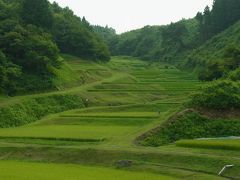 子連れで帰省・栃木再発見の旅（石畑の棚田・益子ひまわり祭り）～母一人・子二人旅（2012 .8 東京&栃木）～