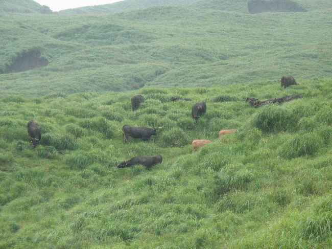 熊本県阿蘇山へ。<br /><br />牛や馬が放し飼いになっていて、大自然の中にいることを実感。<br />