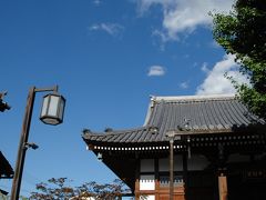 真っ青な空に誘われて･･･念佛寺