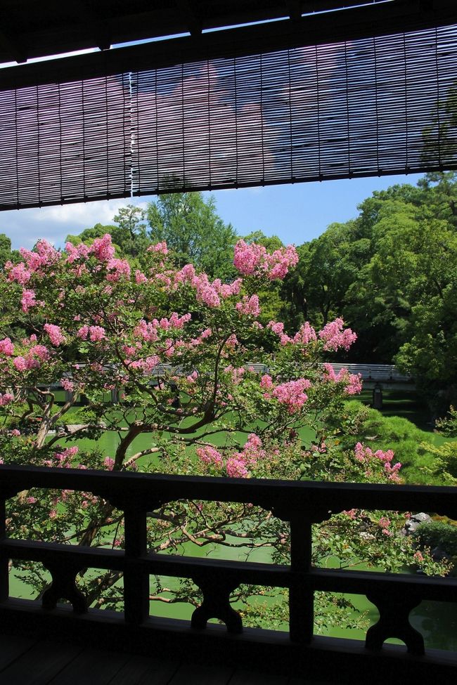 夏に咲く花の代表格として，百日紅があります。<br />京都で百日紅が有名なところといえば，京都御苑ですね。<br />特に九條家遺構である拾翠亭周辺には多くの百日紅が咲き，これぞ夏！という雰囲気を味わえます。<br />下御霊神社にある「区民の誇りの木」である百日紅も見てきましたので，合わせてご覧ください。<br /><br />