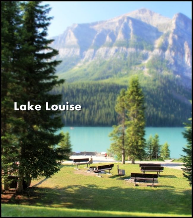 【夏カナダ Vol.4】 <br />Lakeside Walk♪ モレイン湖とレイク・ルイーズの湖畔を歩く &lt;Day-3&gt;<br /><br /><br />爽やかな朝の始まり―。<br /><br />背中から朝陽を浴びながら、ハイウェイを西へ、北へ。<br /><br />バンフからモレイン湖、そしてレイク・ルイーズへとドライブ。<br /><br />それぞれの湖畔を歩きました。<br /><br /><br />※この旅行記は下記&quot;Day-3&quot;の朝をピックアップした内容です。<br /><br /><br />【Itinerary】<br /><br />カナディアンロッキードライブ &lt;総集編&gt;<br />http://4travel.jp/traveler/20100902/album/10697448/<br /><br />◆Day-1◆ 10.Aug.2012<br />Home - Narita by N&#39;EX<br />Narita - Los Angels by Malaysia Airlines<br />・Stay: Radisson Hotel Los Angels Airport ラディソンホテル<br /><br /><br />◆Day-2◆ 11.Aug.2012 Distance traveled 走行距離: 168km<br />Los Angels - Calgary by Air Canada<br />Calgary - Canmore - Banff<br />・Stay: Inns of Banff インズ・オブ・バンフ<br /><br />★Sightseeing at..<br />Lake Minnewanka ミネワンカ湖<br />Cascade Gardens　カスケードガーデン<br />Banff Ave.　バンフ通り<br />Bow Falls ボウ滝<br />Banff Station バンフ駅<br /><br /><br />◆Day-3◆ 12.Aug.2012 Distance traveled 走行距離: 352km<br />Banff - Moraine Lake - Crossing - Jasper<br />・Stay: Maligne Lodge　マリーン・ロッジ<br /><br />★Sightseeing at..<br />Moraine Lake モレイン湖<br />Lake Louise レイク・ルイーズ<br />Bow Lake ボウ湖<br />Peyto Lake ペイトー湖<br />Hector Lake へクター湖<br />Waterfowl Lakes ウォーターファウル湖<br />Sunwapta Pass サンワプタ峠<br />Sunwapta Falls サンワプタ滝<br />Patricia Lake パトリシア湖<br />Pyramid Lake　ピラミッド湖<br /><br /><br />◆Day-4◆ 13.Aug.2012 Distance traveled 走行距離: 340km<br />Jasper - Maligne Lake - Jasper - Crossing - Lake Louise<br />・Stay: Mountaineer Lodge マウンテニア・ロッジ<br /><br />★Sightseeing at..<br />Maligne Lake マリーン湖<br />Spirit Island スピリット・アイランド<br />Medicine Lake メディスン湖<br /><br /><br />◆Day-5◆ 14.Aug.2012 Distance traveled 走行距離: 227km<br />Lake Louise - Banff VIA Bow Valley Parkway<br />Banff - Calgary<br />Calgary - Los Angels by Air Canada<br />・Stay: Radisson Hotel Los Angels Airport ラディソンホテル<br /><br />★Sightseeing at..<br />Lake Louise レイク・ルイーズ<br />Banff Ave. バンフ通り<br /><br /><br />◆Day-6◆ 15.Aug.2012 <br />Los Angels(LAX) - Santa Monica - LAX - Narita (+1) -Tokyo<br /><br />★Sightseeing at..<br />Santa Monica Pier　サンタモニカピア<br />Third Street Promenade サード・ストリート・プロムナード<br /><br /><br />◆Day-7◆ 17.Aug.2012 <br />Tokyo- Home 