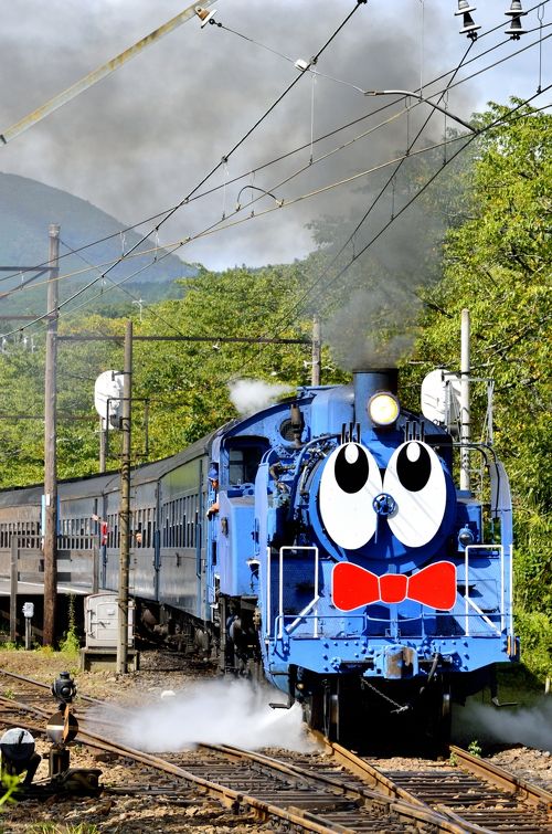 SLの旅シリーズ第23回目,大井川鐵道本線 ”SLくん C11 227号機