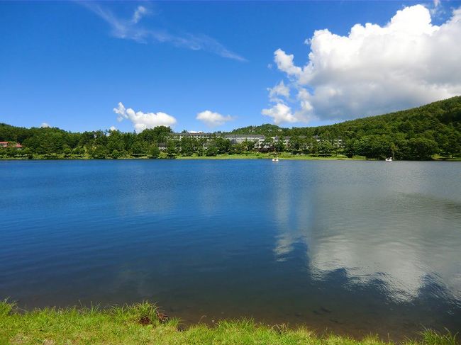 連日、好天に恵まれ、この日は八島湿原のハイキングをする。湿原には高山植物が咲き、トンボや蝶が群れる。夏の八島湿原は植物観察の宝庫で勉強になる。<br /><br />写真:女神湖とホテルアンビエント蓼科全景<br /><br />私のホームページ『第二の人生を豊かに―ライター舟橋栄二のホームページ―』に旅行記多数あり。<br />(新刊『夢の豪華客船クルーズの旅』案内あり)<br />http://www.e-funahashi.jp/<br /><br />